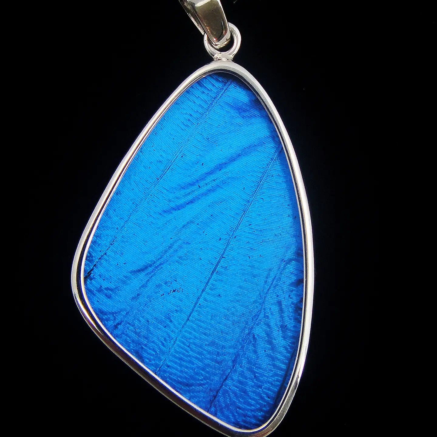 Blue Morpho Wing Sterling Necklace Large