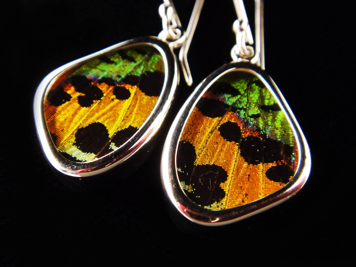 Sunset Moth Small Butterfly Earrings
