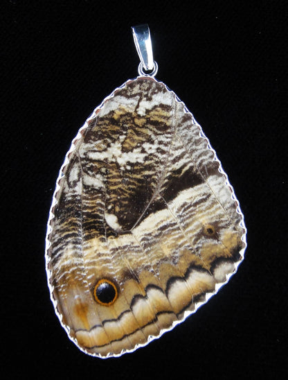 Shimmerwings "88" XX-Large Butterfly Pendant
