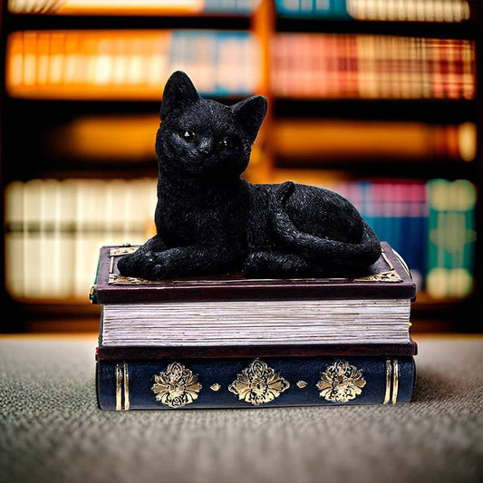 Black Cat on Book Box - Loved To Death