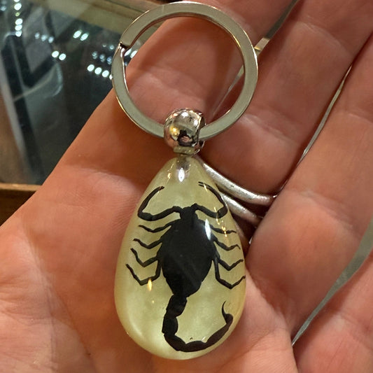 Black Scorpion Glow in the Dark Lucite Keychain - Loved To Death