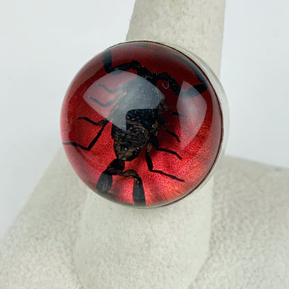 Black Scorpion in Red Globe Sterling Ring - Loved To Death
