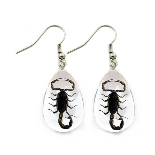 Black Scorpion Lucite Earrings - Loved To Death