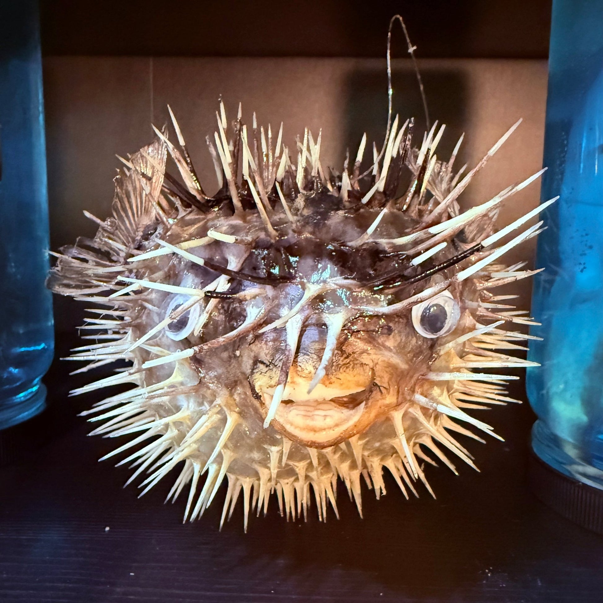 Blowfish - Loved To Death