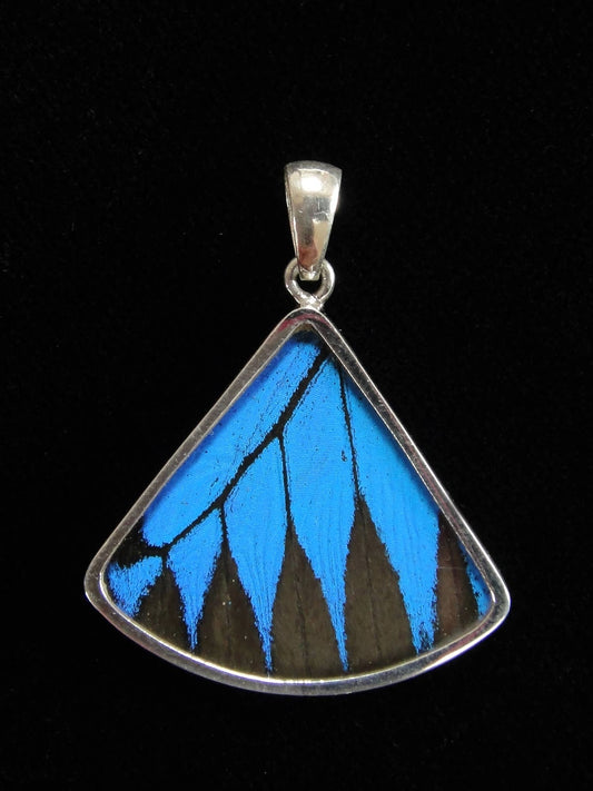 Blue & Black Butterfly Wing Fan Sterling Necklace - Loved To Death