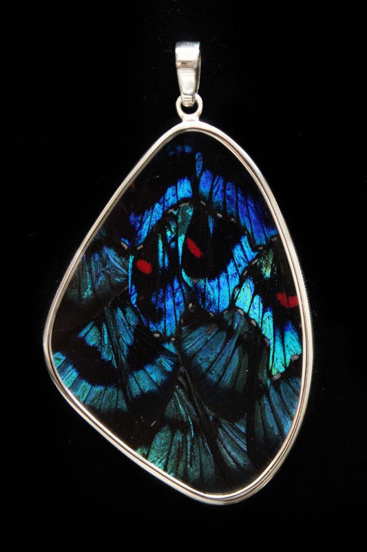 Blue Flash Butterfly Wing XX - Large Sterling Pendant - Loved To Death