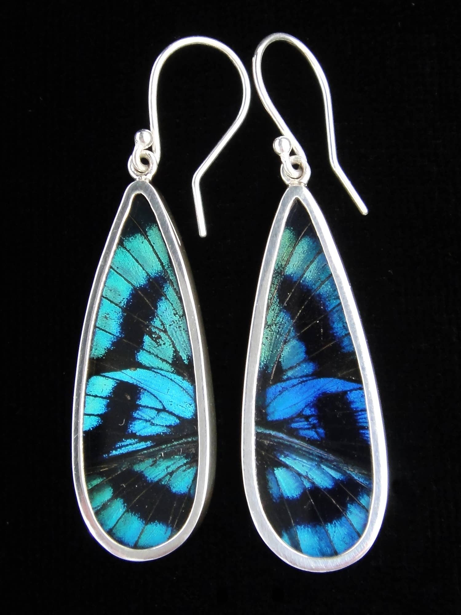 Blue Flash Sterling Butterfly Long Drop Earrings - Loved To Death