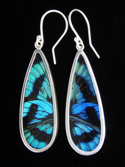 Blue Flash Sterling Butterfly Long Drop Earrings - Loved To Death
