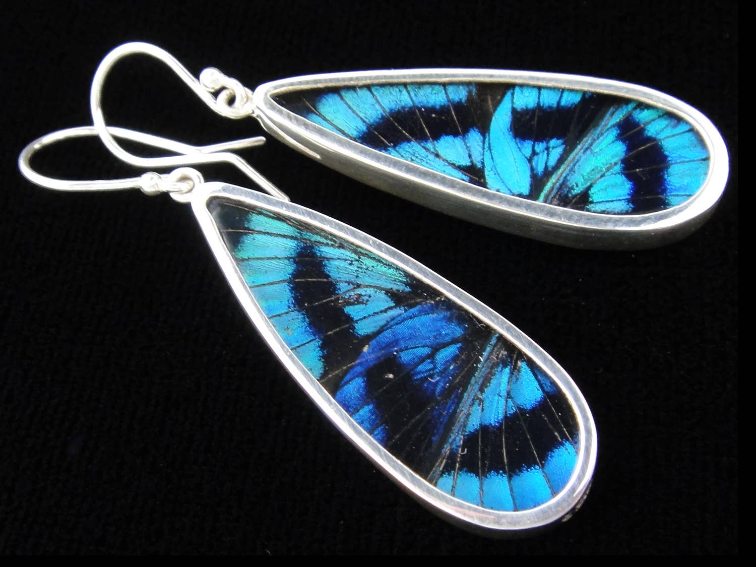 Blue Flash Sterling Butterfly Long Drop Earrings - Loved To Death