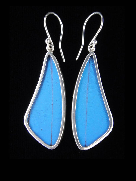 Blue Morpho Wing Sterling Butterfly Long Earrings - Loved To Death