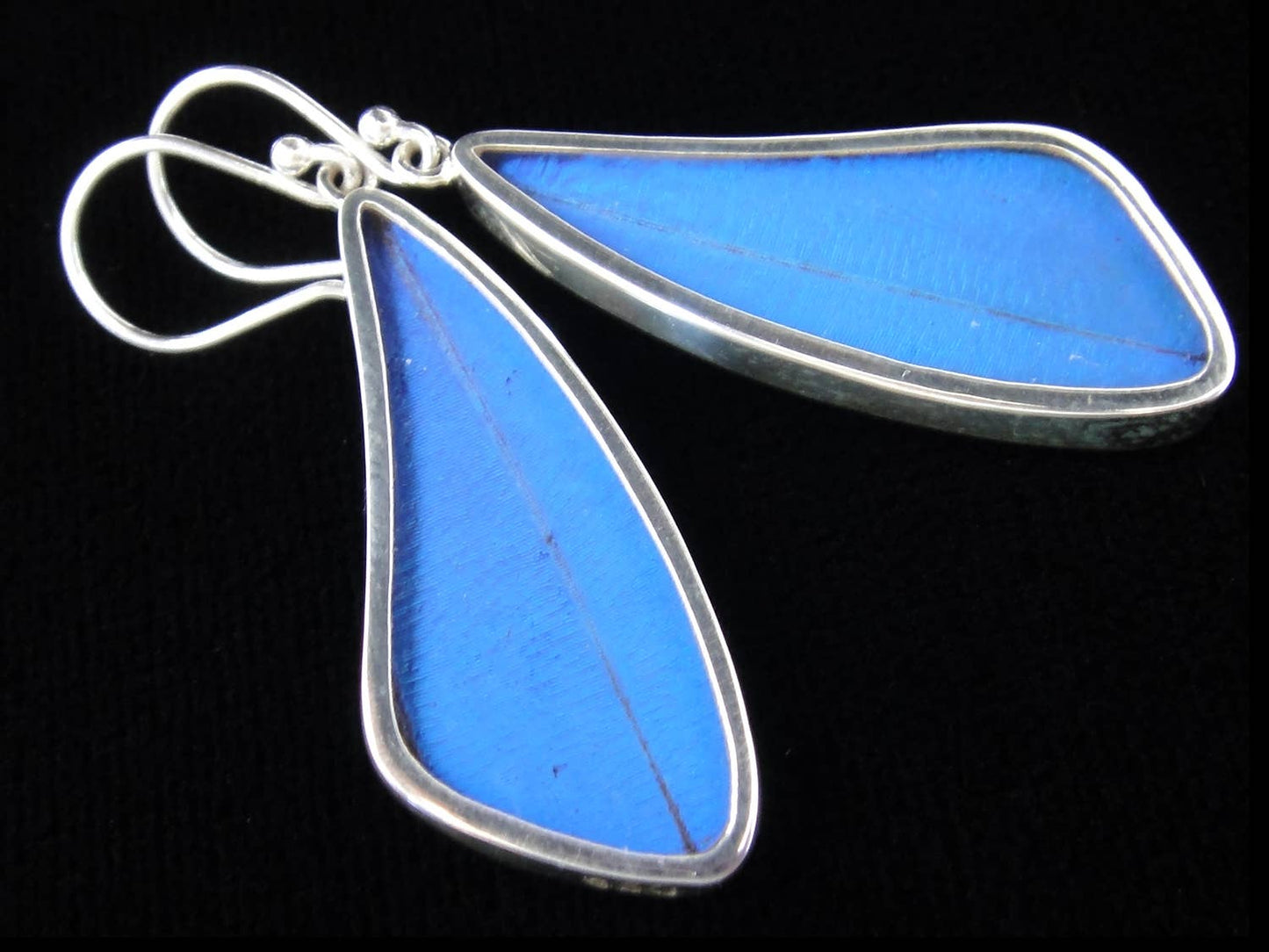 Blue Morpho Wing Sterling Butterfly Long Earrings - Loved To Death