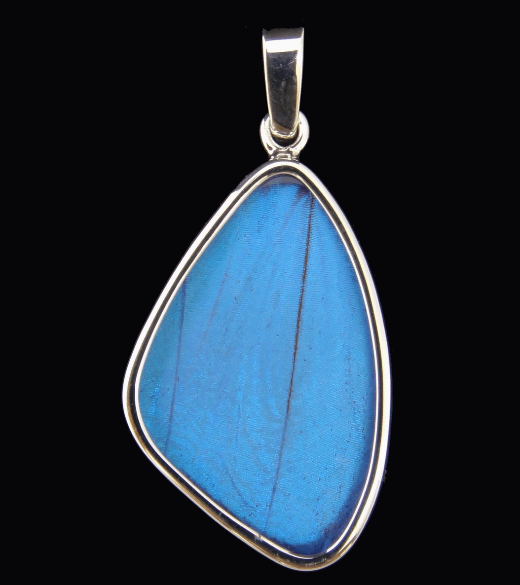Blue Morpho Wing Sterling Necklace Medium - Loved To Death