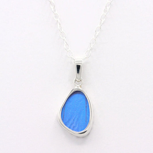 Blue Morpho Wing Sterling Necklace Small - Loved To Death
