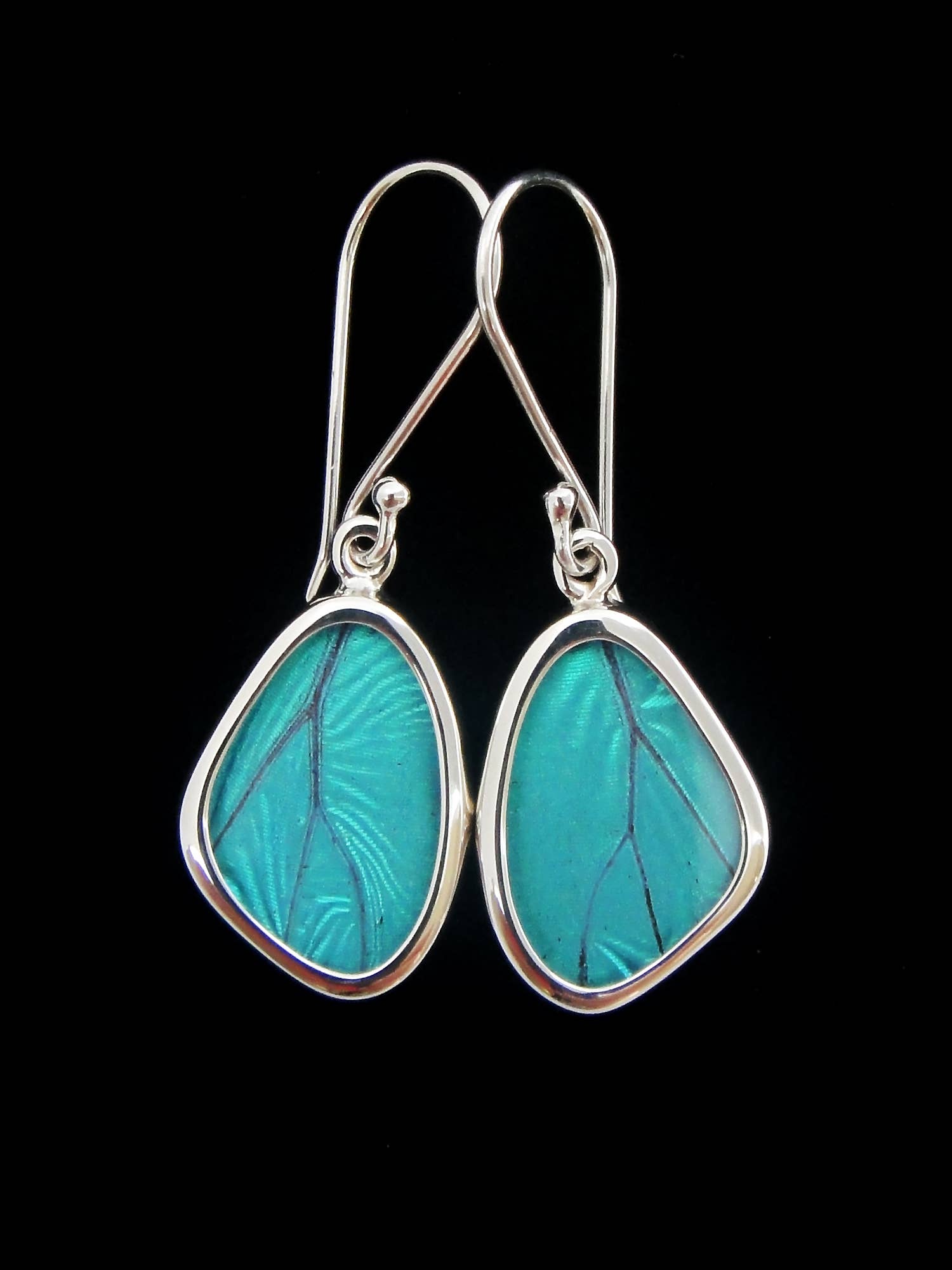 Blue Morpho Wing Sterling Small Earrings - Loved To Death
