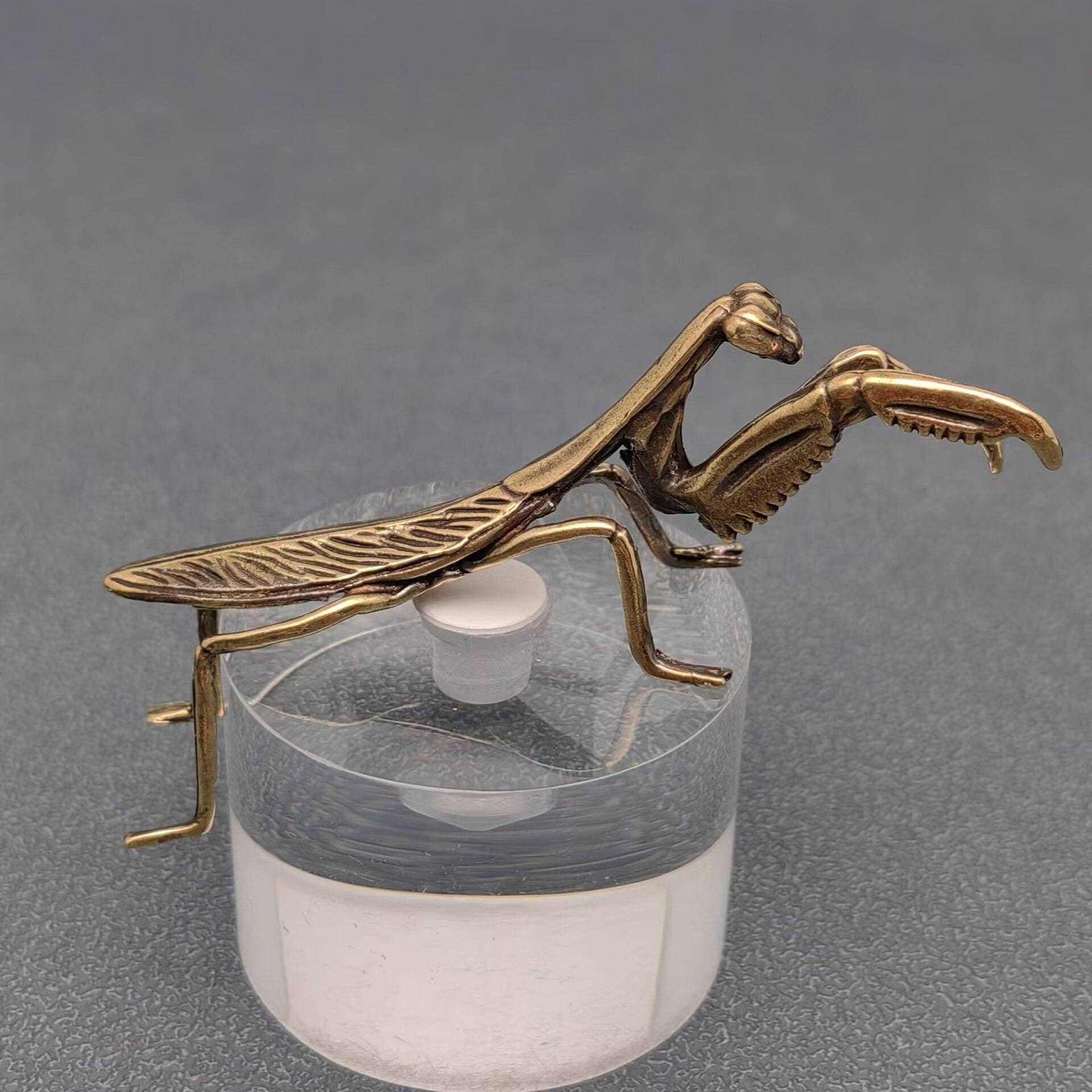 Brass Mantis Desktop Decoration - Loved To Death
