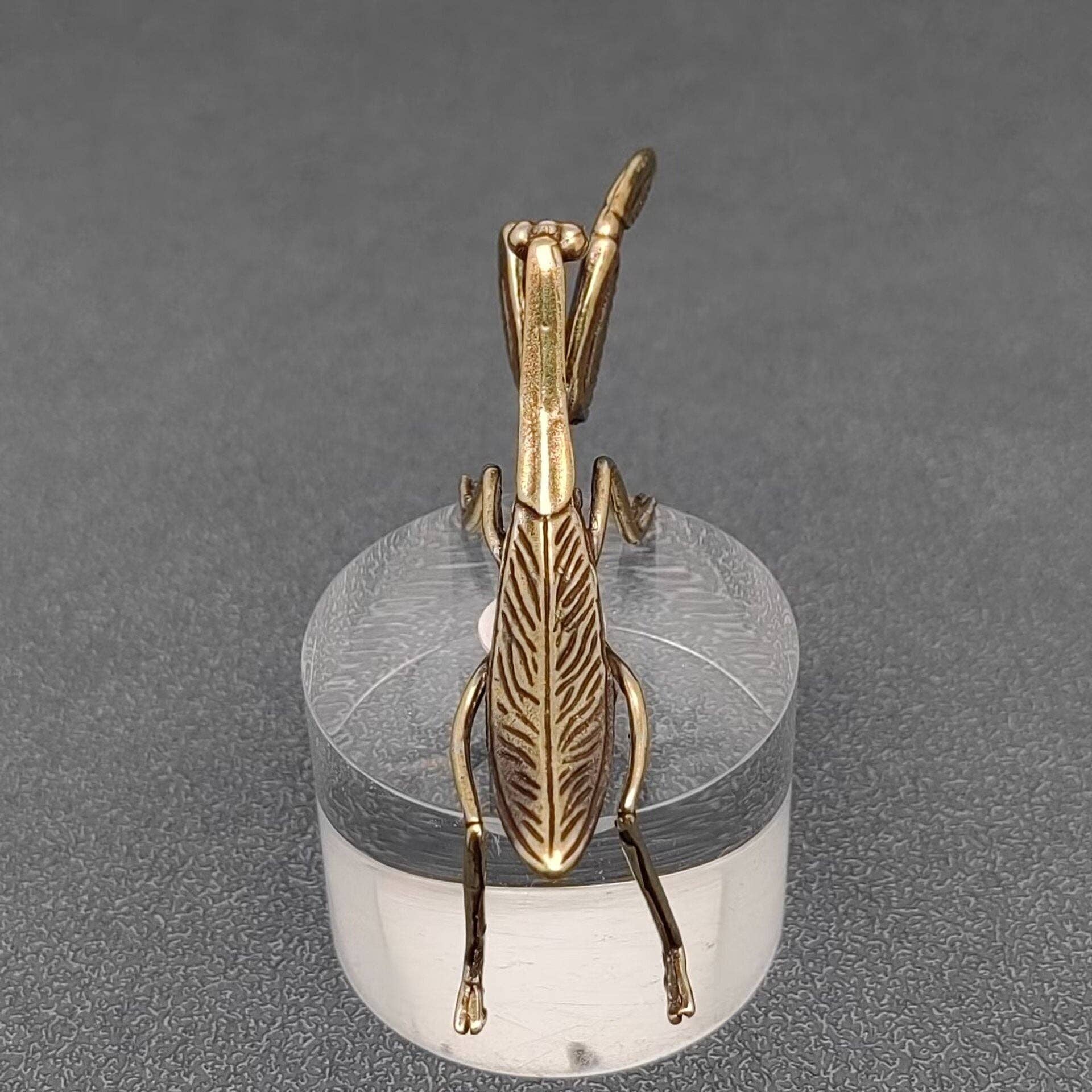 Brass Mantis Desktop Decoration - Loved To Death