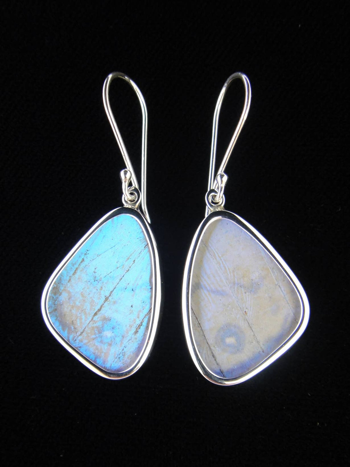 Shimmerwings "Pearl Blue" Sulkowski Butterfly Small Earrings