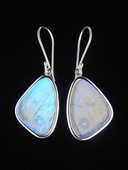 Shimmerwings "Pearl Blue" Sulkowski Butterfly Small Earrings
