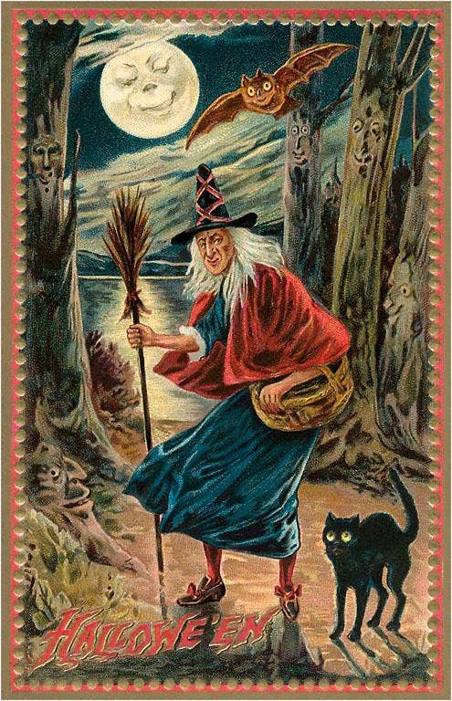 Postcard HW-177 Witch and Black Cat in Forest
