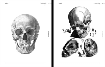 Skulls & Skeletons, an Image Archive for Artists & Designers