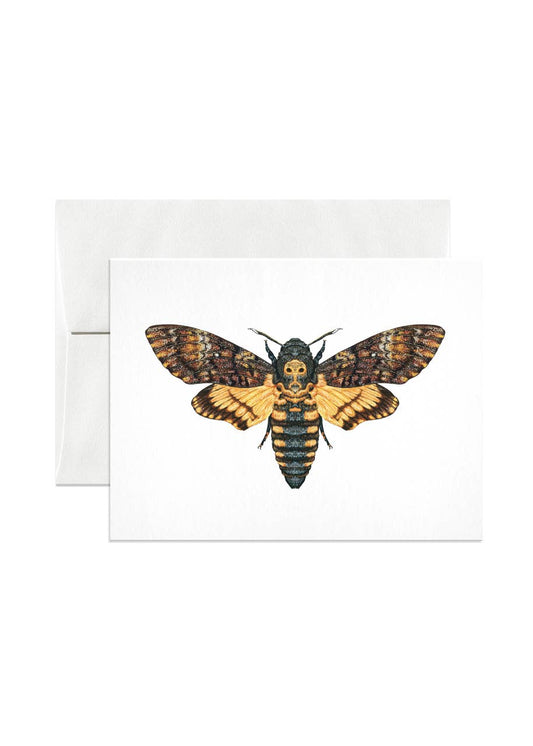 Death's-head Hawkmoth Greeting Card