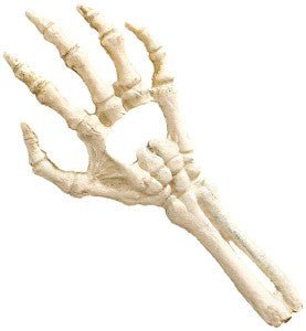 Cast Iron Skeleton Hand Bottle Opener - Loved To Death