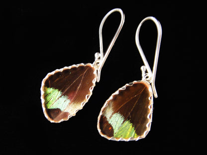 Sunset Moth Small Butterfly Earrings