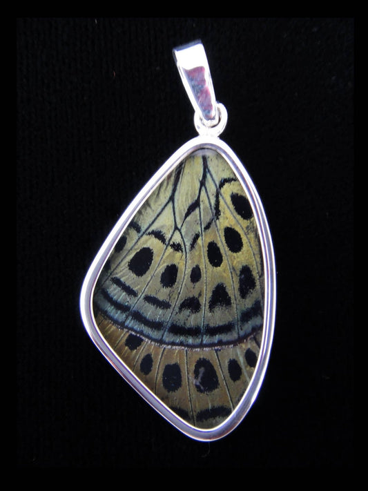 Charles Darwin Butterfly Wing Medium Sterling Pendant - Loved To Death