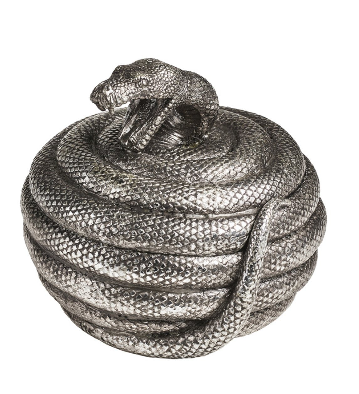 Coiled Snake Stash Box Vessel - Loved To Death