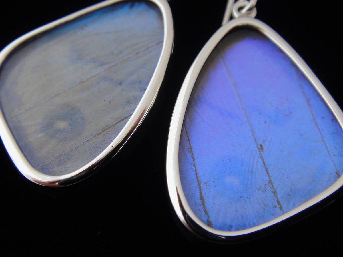 Shimmerwings "Pearl Blue" Sulkowski Butterfly Small Earrings