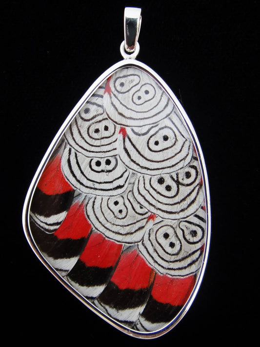 Shimmerwings "88" XX-Large Butterfly Pendant