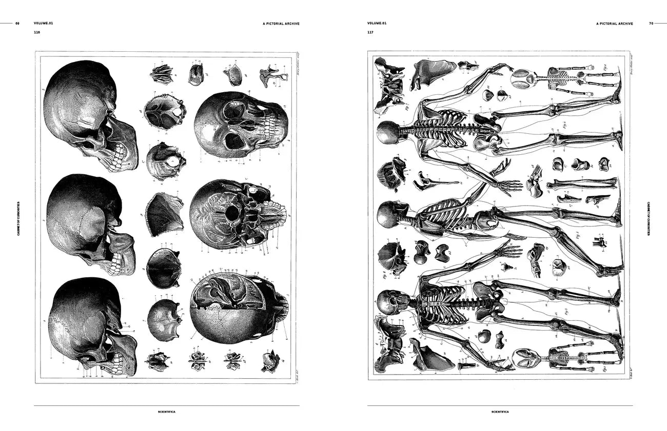 Cabinet of Curiosities: An Image Archive