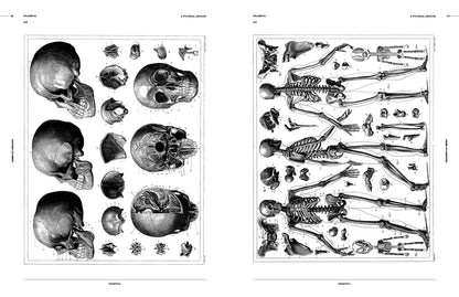 Cabinet of Curiosities: An Image Archive