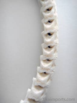 Snake Vertebrae Choker