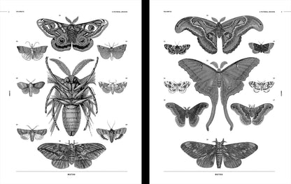 Insects Reference Book, an Image Archive