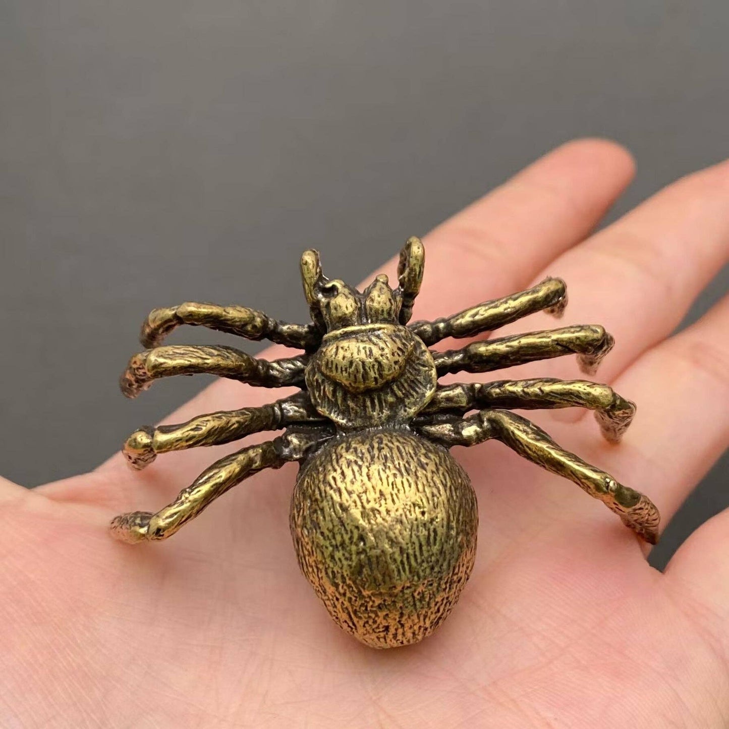 Brass Tarantula Spider