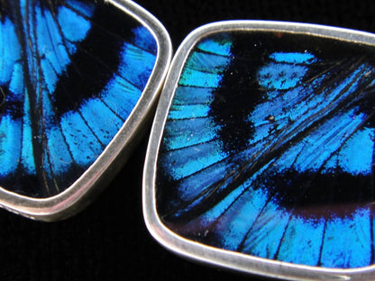 "Blue Flash" Butterfly Diamond Sterling Earrings