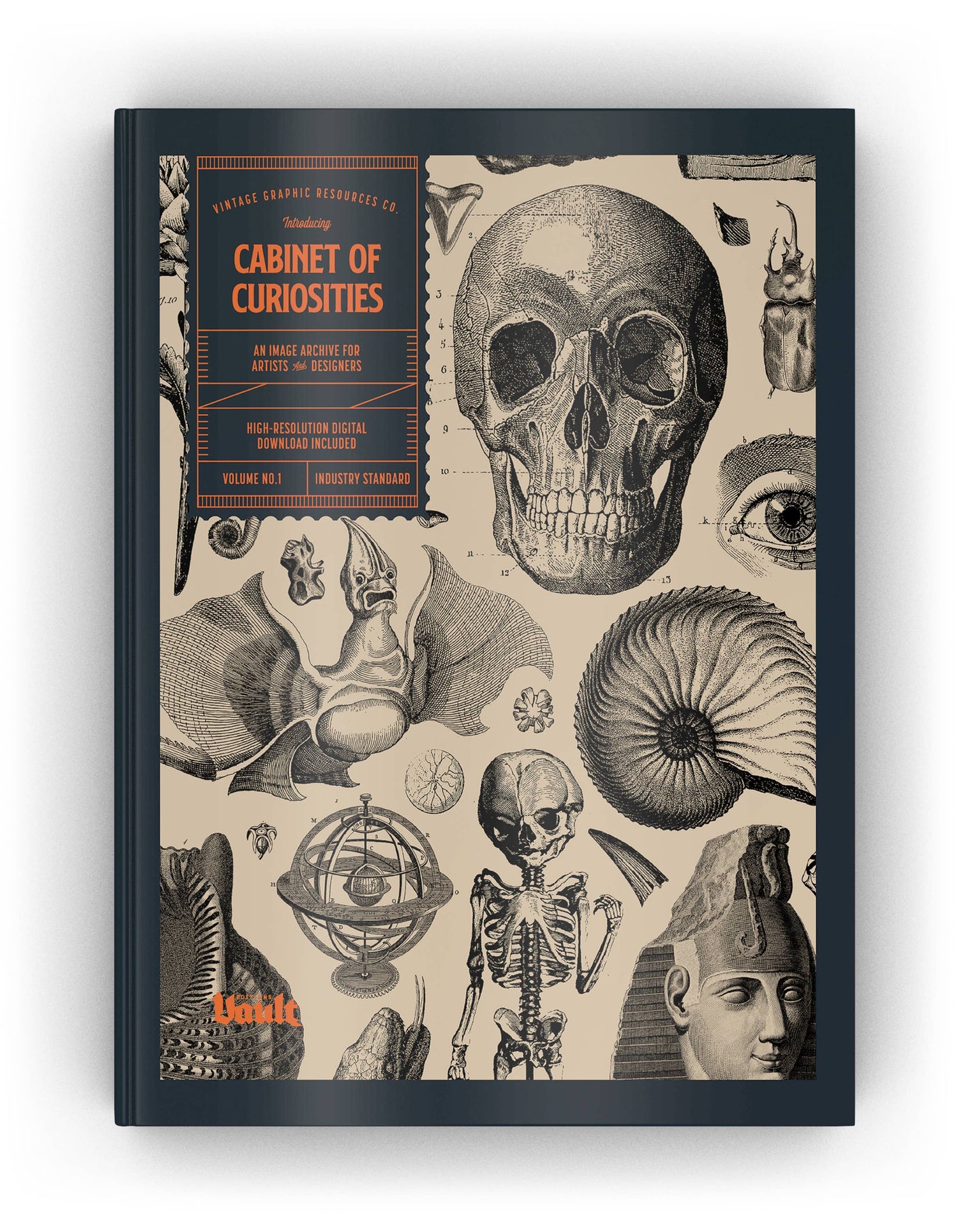 Cabinet of Curiosities: An Image Archive