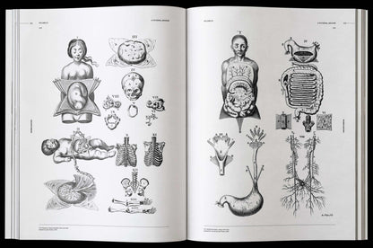 Morbid Anatomy, an Image Archive for Artists and Designers