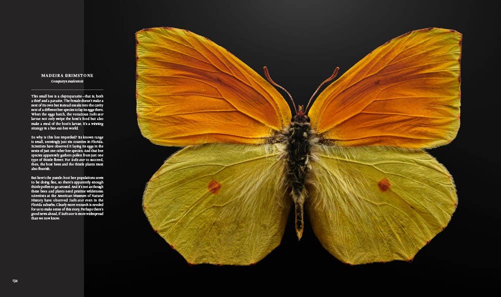 Extinct & Endangered