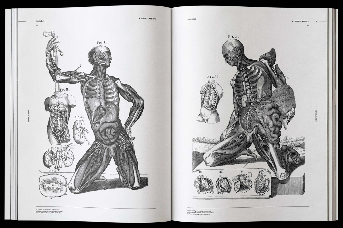 Morbid Anatomy, an Image Archive for Artists and Designers