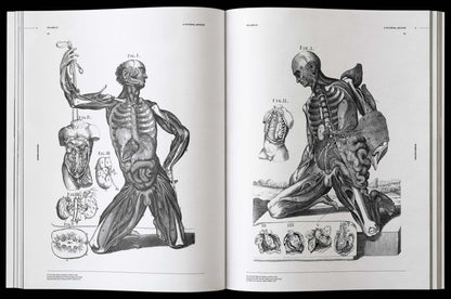 Morbid Anatomy, an Image Archive for Artists and Designers