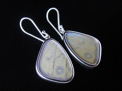 Shimmerwings "Pearl Blue" Sulkowski Butterfly Small Earrings