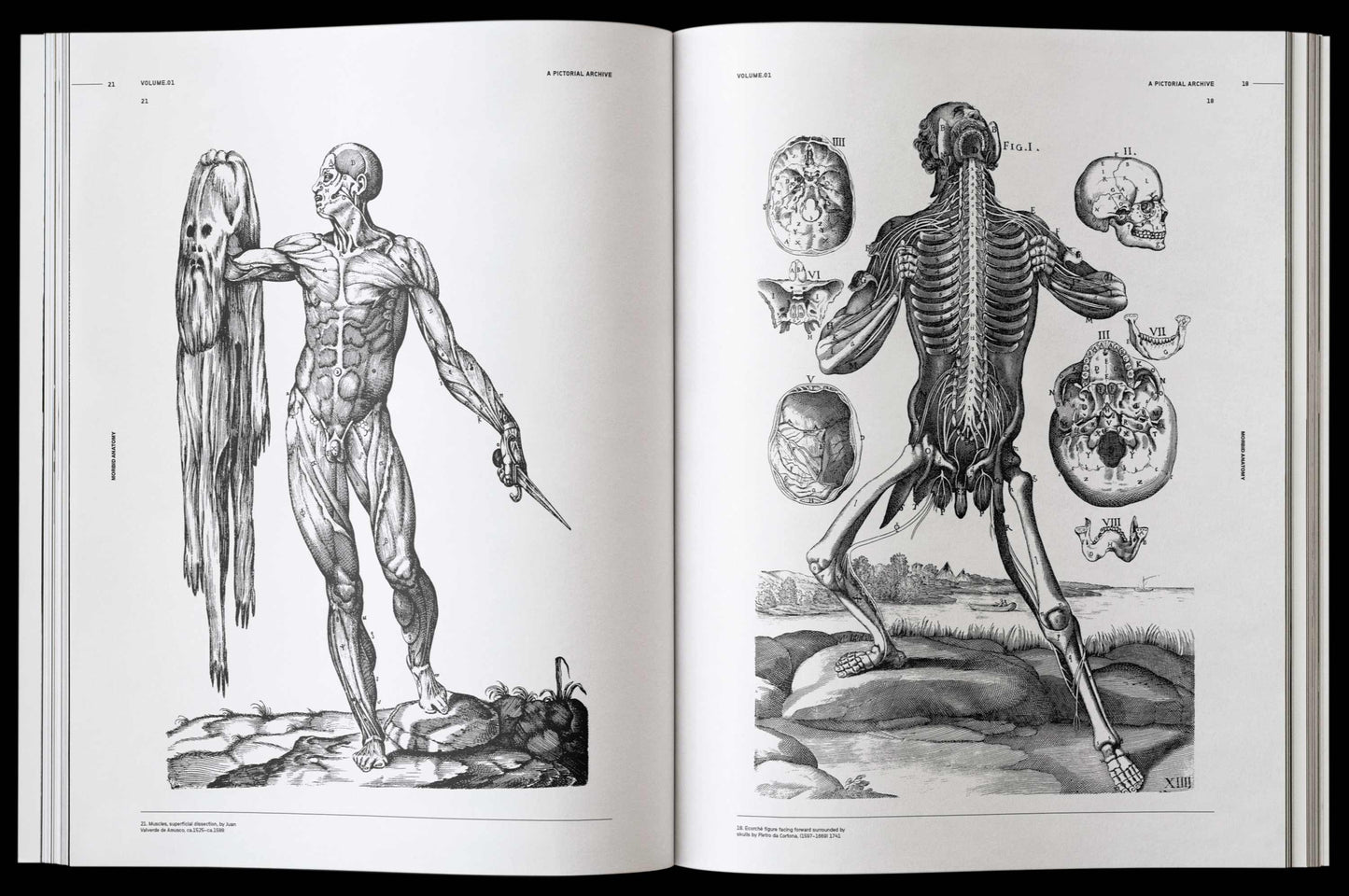 Morbid Anatomy, an Image Archive for Artists and Designers