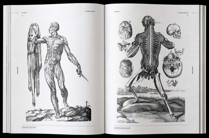 Morbid Anatomy, an Image Archive for Artists and Designers