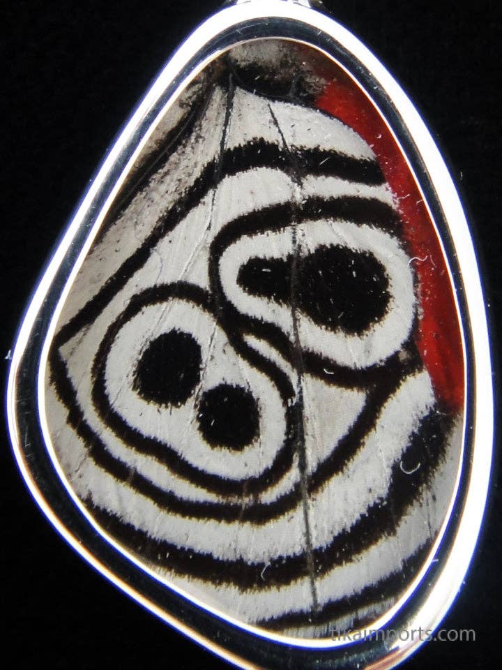 Sterling Tiny 88 Tiny Butterfly Wing Necklace