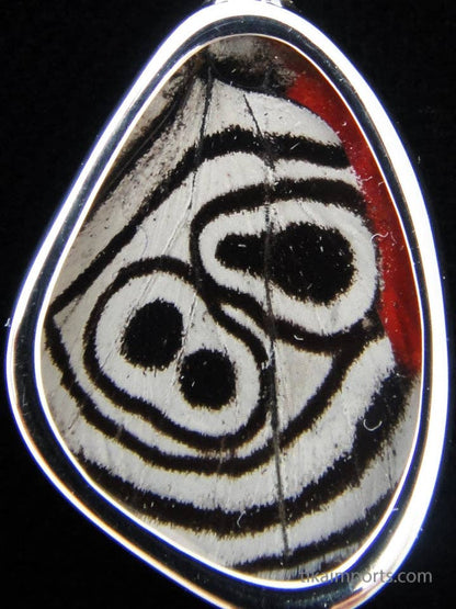 Sterling Tiny 88 Tiny Butterfly Wing Necklace