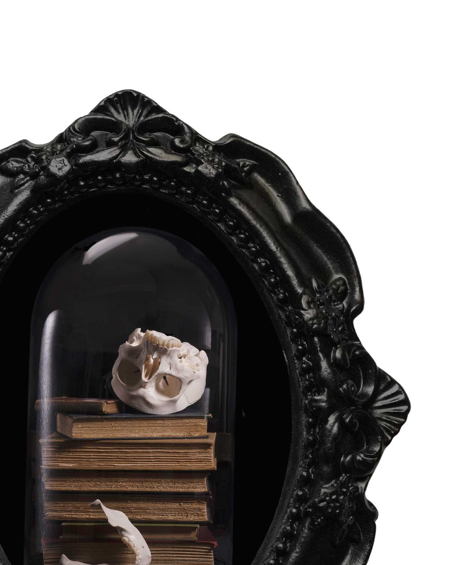 Enlightenment - Ornament