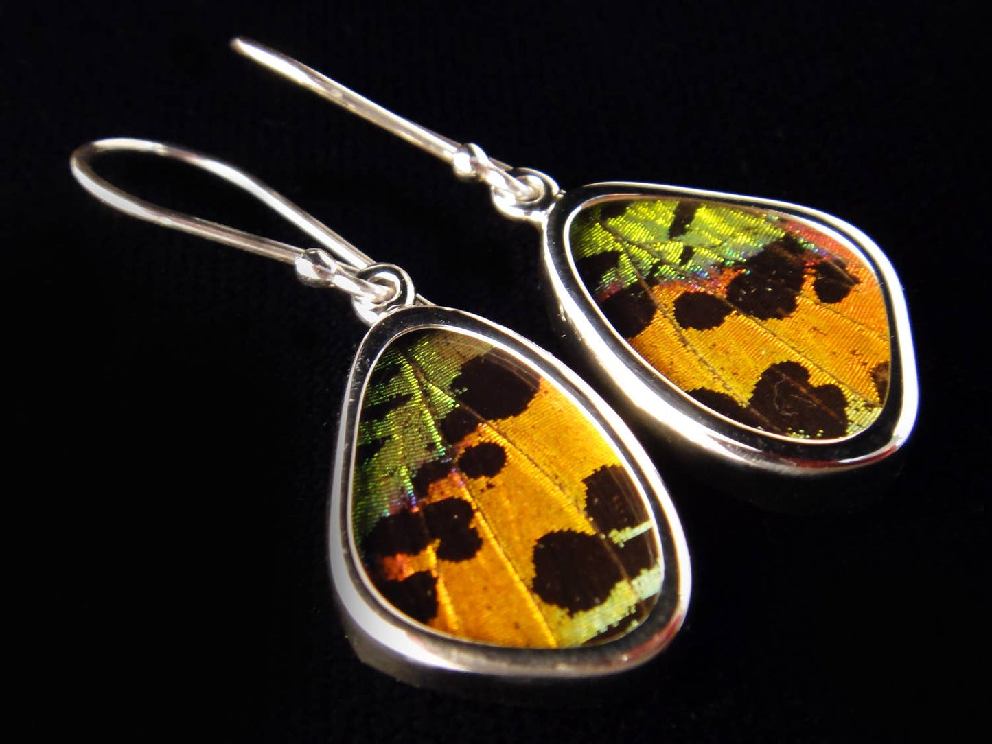 Sunset Moth Small Butterfly Earrings
