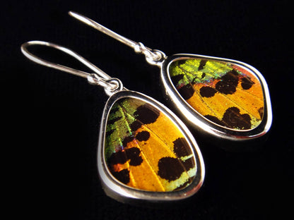 Sunset Moth Small Butterfly Earrings